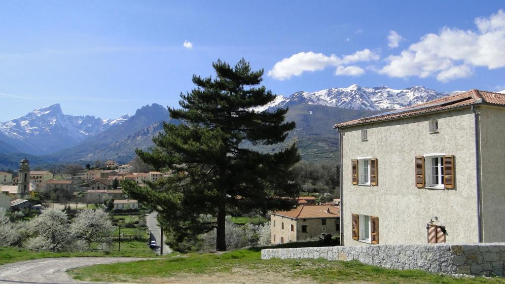 Casa Vanella Bed & Breakfast