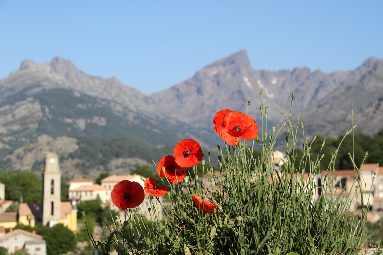 Bed & Breakfast Casa Vanella